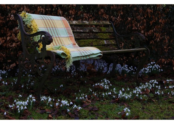 Citrus colours Welsh carthen FB59